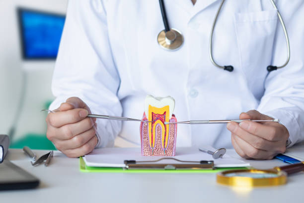 Best Emergency Dental Care for Broken or Chipped Teeth in Brookdale, CA